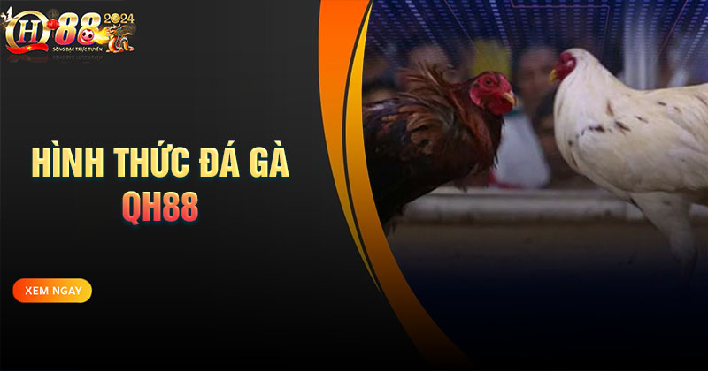 mot-so-hinh-thuc-da-ga-qh88-pho-bien