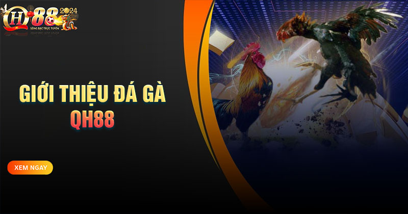 tong-quan-chung-ve-da-ga-qh88