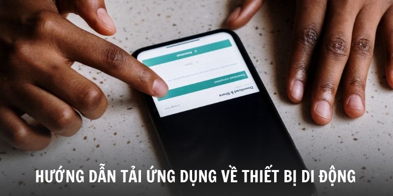 huong-dan-chi-tiet-quy-trinh-cai-dat-chi-voi-3-buoc-don-gian